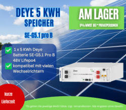 Deye Batteriespeicher  5.1 KWh